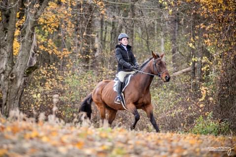Bridlewood Equestrian | 8735 Milburough Town Line, Milton, ON L0P 1B0, Canada | Phone: (905) 407-0827