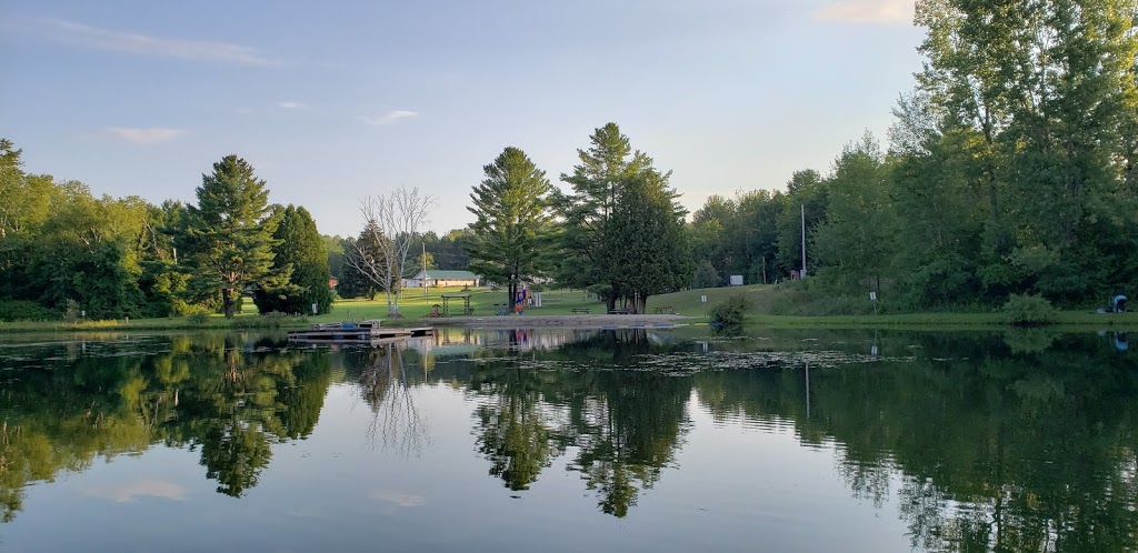 Pinnacle Park Camping | Pinnacle Hill Rd, Grafton, ON K0K 2G0, Canada | Phone: (905) 349-2291