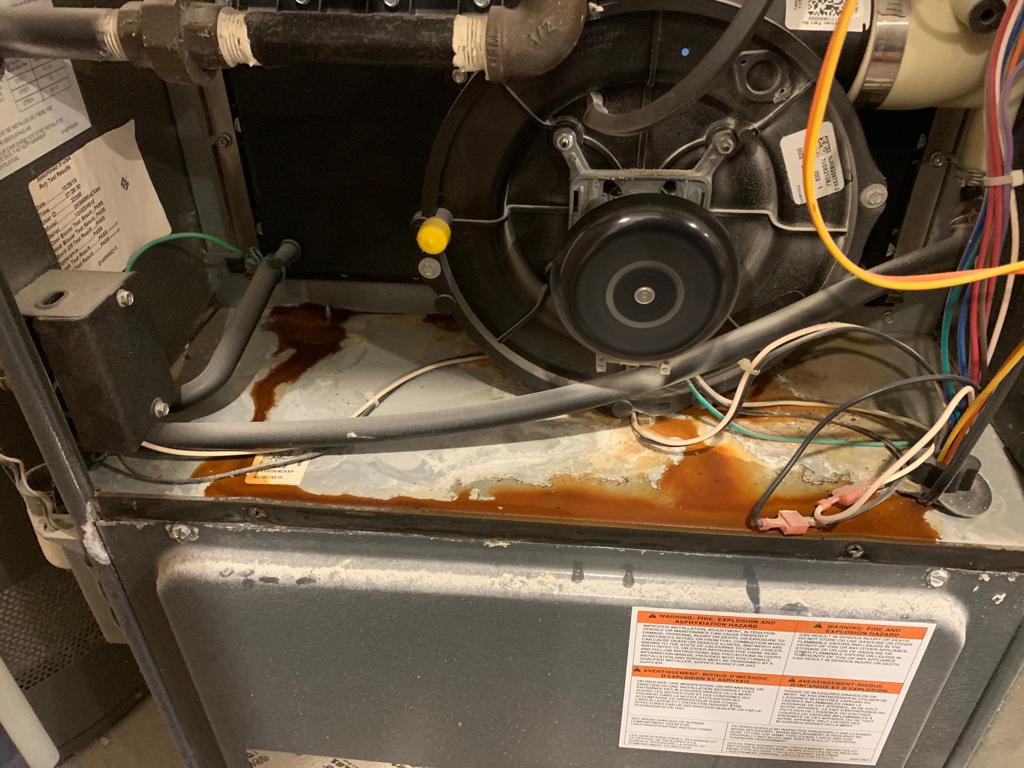 Highend Furnace & Carpet Cleaning | 40 Martinglen Pl NE, Calgary, AB T3J 3J1, Canada | Phone: (403) 402-1133
