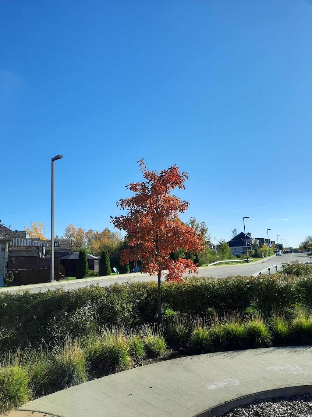 Parc Morelia-Panama | 9305 Rue de Morelia, Québec, QC G2B 0G9, Canada | Phone: (418) 641-6200