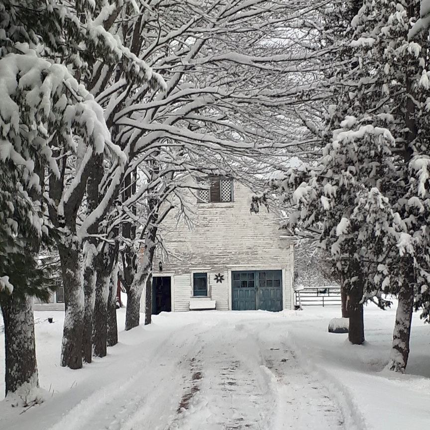 Parkin Place Bed and Breakfast | 3063 Main St, Salisbury, NB E4J 2J8, Canada | Phone: (506) 871-3463