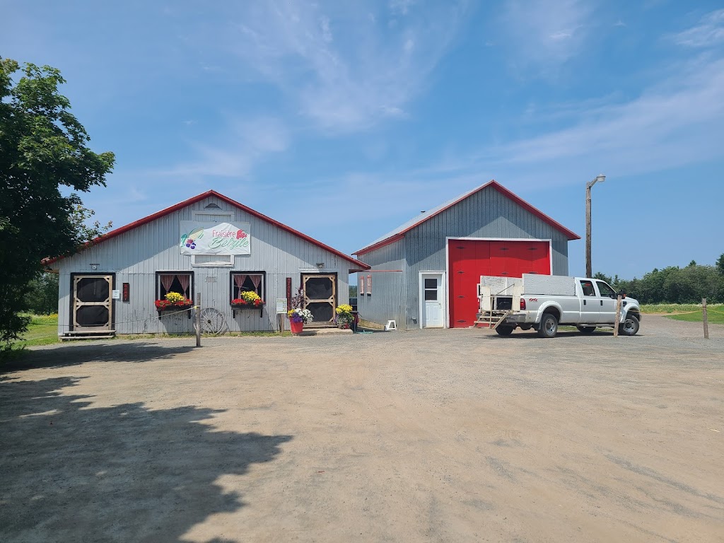 Fraisière Belzile | 19 Rte Principale, Saint-Arsène, QC G0L 2K0, Canada | Phone: (418) 862-6183