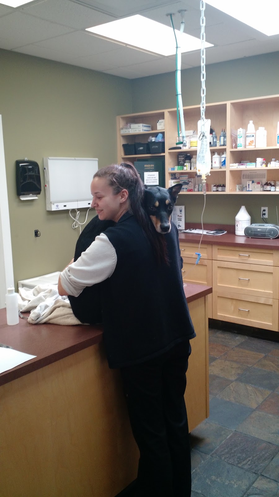 Central Cowichan Animal Hospital | 5777 Trans-Canada Hwy #10, Duncan, BC V9L 3R8, Canada | Phone: (250) 746-7700
