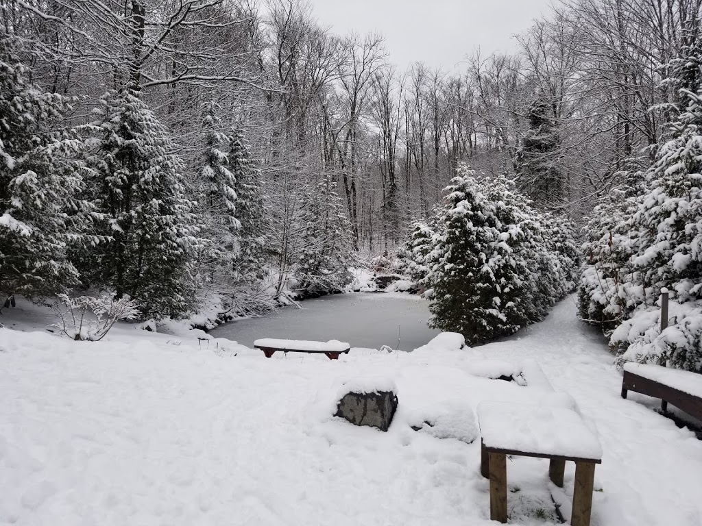 Chalet le Telahc | 1771 Chemin du Domaine, Saint-Adolphe-dHoward, QC J0T 2B0, Canada | Phone: (514) 663-3249