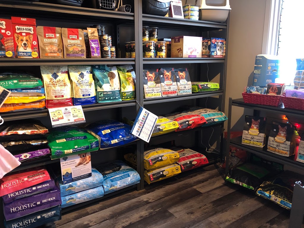 Mes copains à 4 pattes | 22A Rue Saint Aimé, Maskinongé, QC J0K 1N0, Canada | Phone: (819) 699-3585