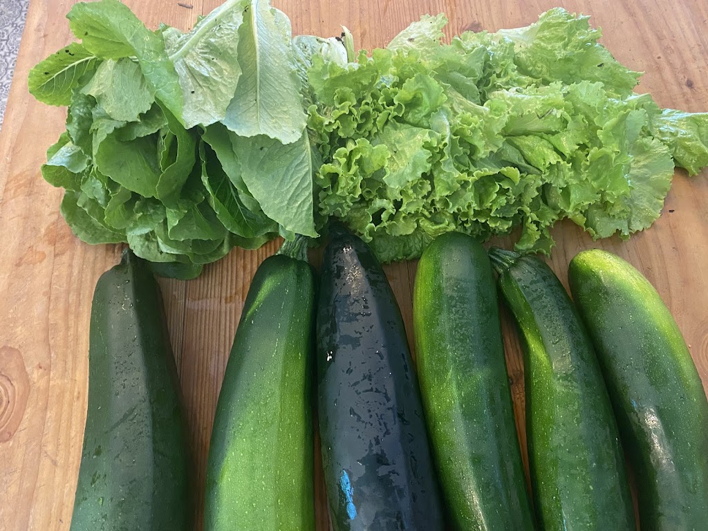 Happy Feet Farm | 5155 Indian Rd, Duncan, BC V9L 6T4, Canada | Phone: (250) 701-3593