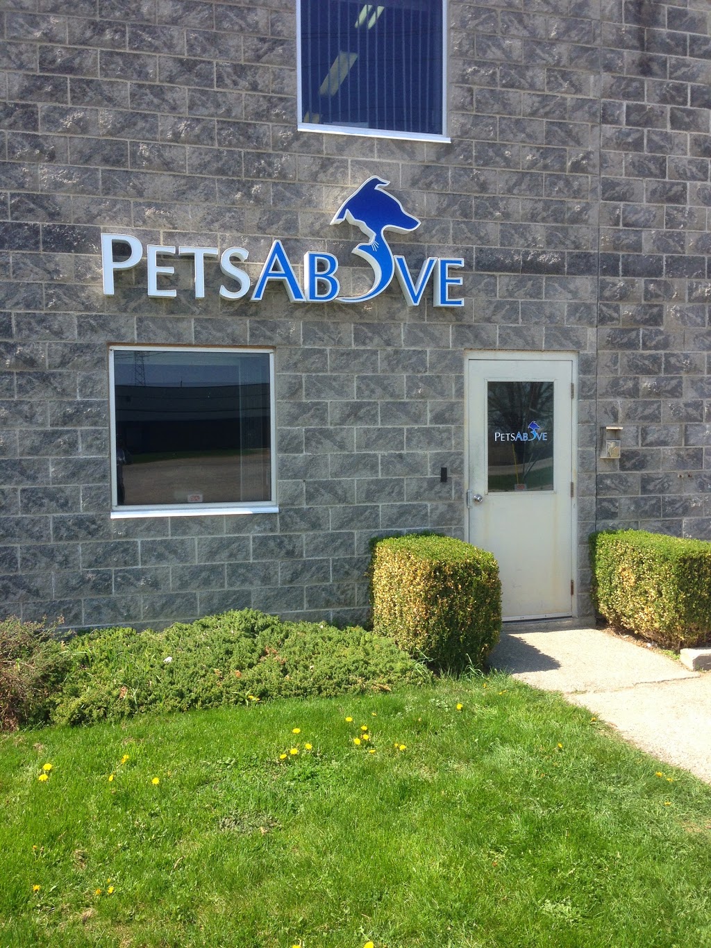 Pets Above Ltd | 124 Wellington St E, Guelph, ON N1H 3R8, Canada | Phone: (519) 766-9999