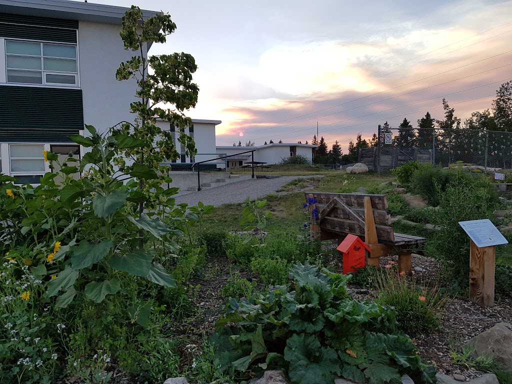 Wildwood Community Association | 4411 Spruce Dr SW, Calgary, AB T3C 3B1, Canada | Phone: (403) 246-3514