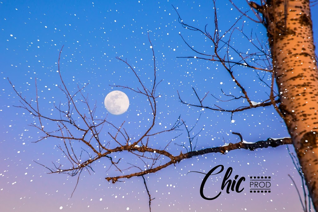 CHIC PROD | 139A Boul Notre Dame, Pont-Rouge, QC G3H 3L1, Canada | Phone: (418) 717-2396