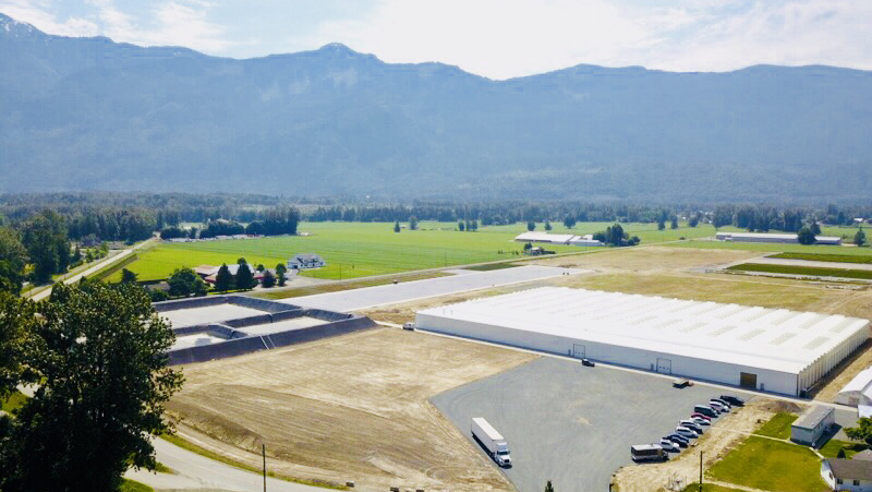 Qualitree Propagators Inc | 51546 Ferry Rd, Rosedale, BC V0X 1X2, Canada | Phone: (604) 794-3375