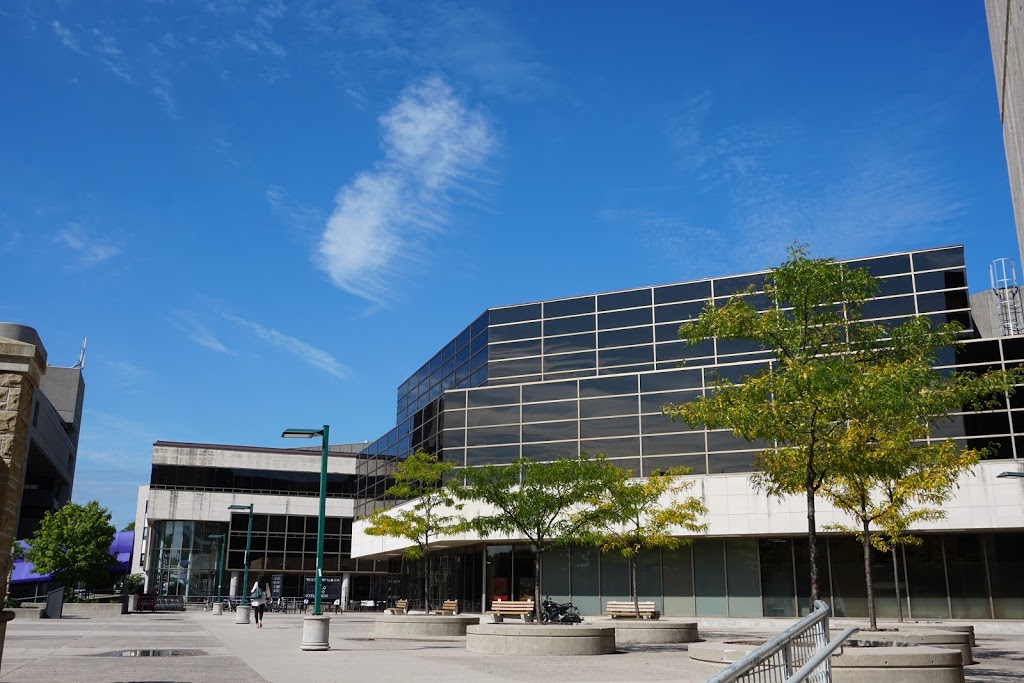 Mustang Central | 1400 Western Rd, London, ON N6G 2V4, Canada | Phone: (519) 661-3722
