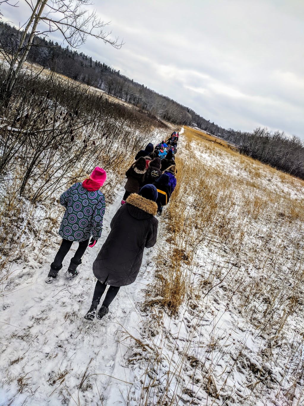 Alderville First Nation Black Oak Savanna | 8467 Northumberland County Rd 18, Roseneath, ON K0K 2X0, Canada | Phone: (905) 352-1008