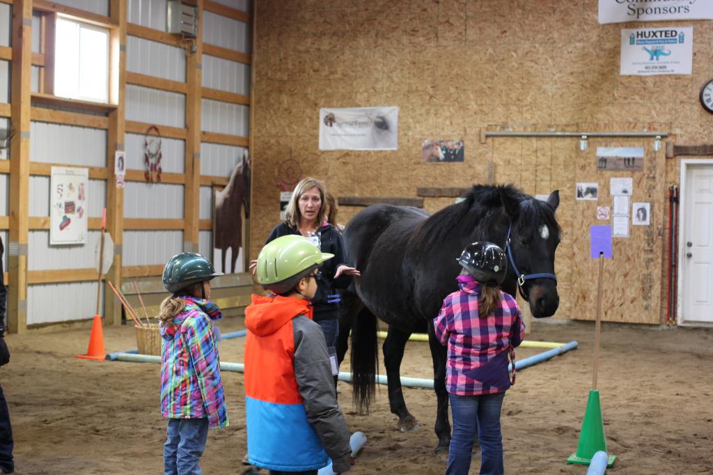 Leading Edge Equine Academy | 515588 11 Line, Woodstock, ON N4S 7V7, Canada | Phone: (226) 749-4830