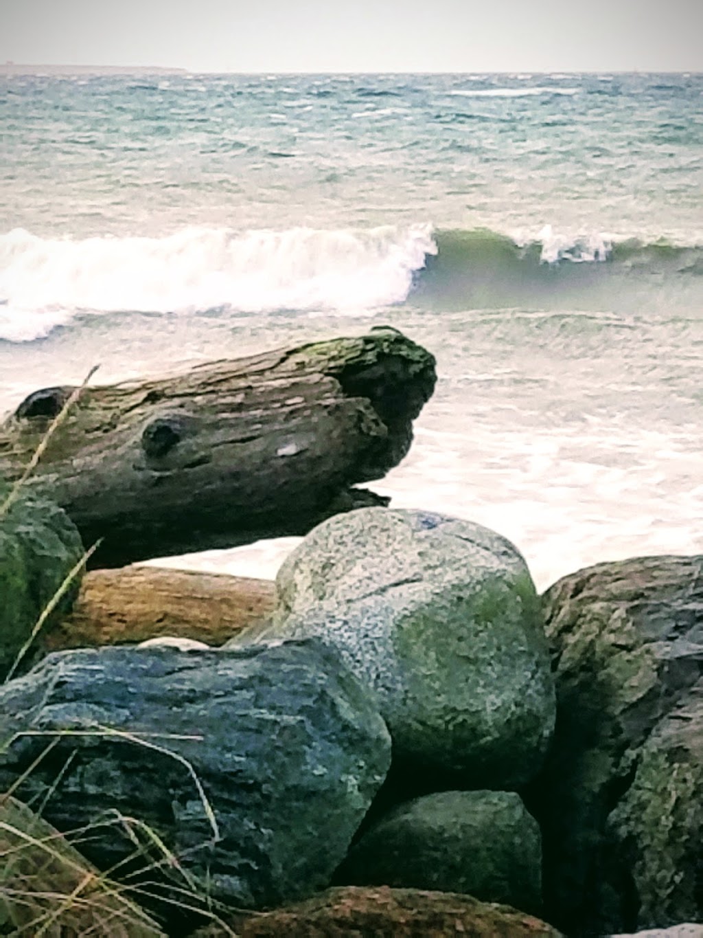 Beach Access Parking | 2699 W Beach Rd, Oak Harbor, WA 98277, USA