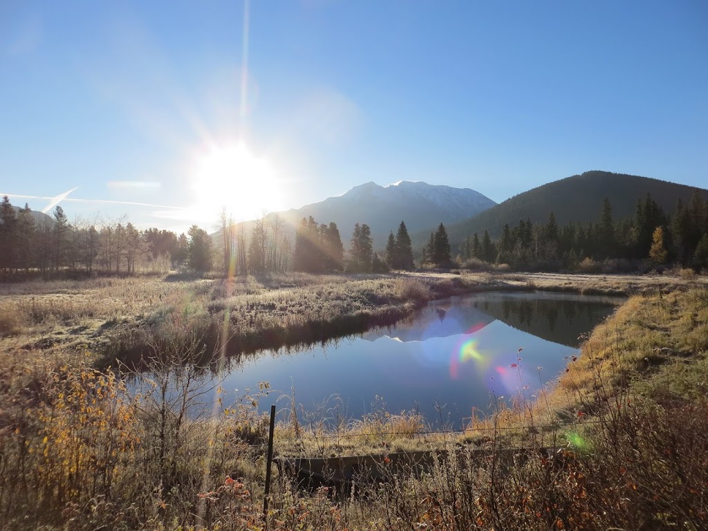 Crowsnest Pass Chamber of Commerce | 12707 20 Ave, Blairmore, AB T0K 0E0, Canada | Phone: (403) 562-7108