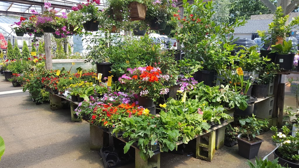 Bens Farm and Garden Center | store | 18341 Fraser Hwy, Surrey, BC V3S 8H6, Canada | 6045744135 OR +1 604-574-4135