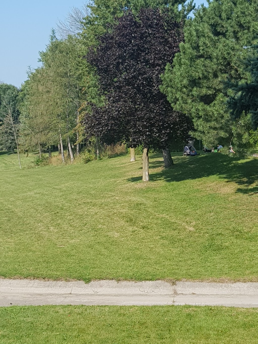 Bullfrog Pond Park | 13 Walnut Dr, Guelph, ON N1E, Canada