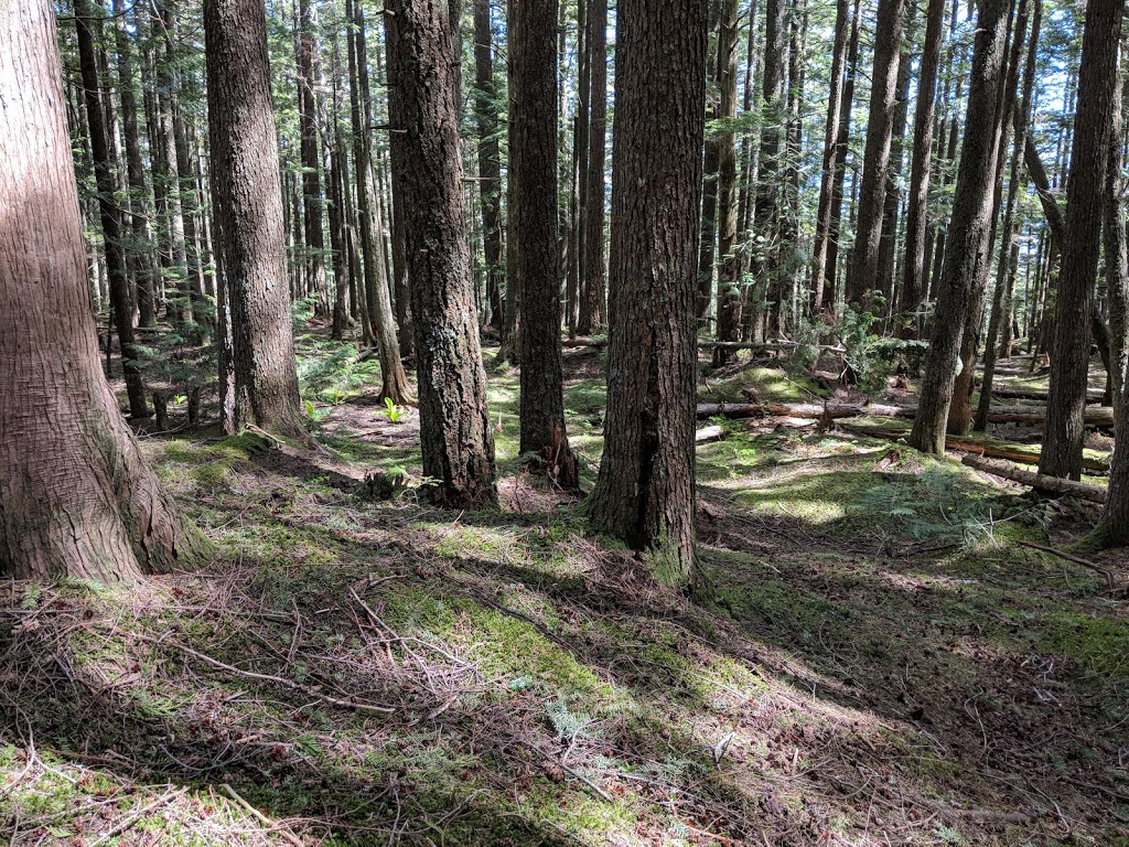 Lost Lake Trailhead | Sumas, WA 98295, USA