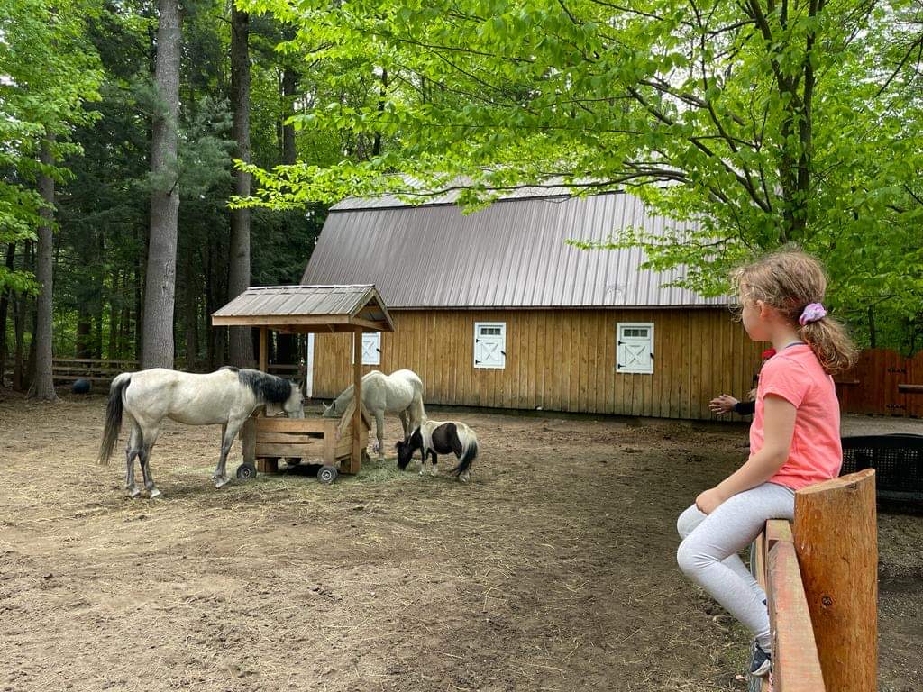 Giddy-Up & Cocorico | 1269 Rue Pine Ridge, Saint-Lazare, QC J7T 2M7, Canada | Phone: (514) 629-0621