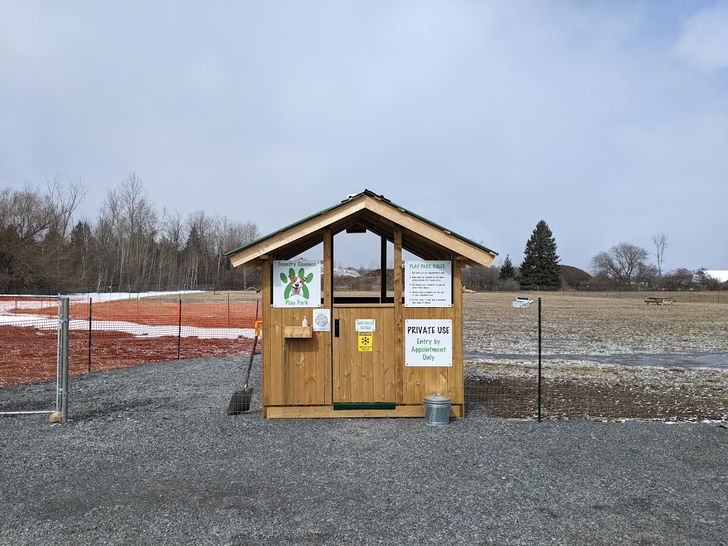 Country Canines Play Park - Carp Road | 8X8V+X6, Ottawa, ON K0A 1L0, Canada | Phone: (613) 878-2309
