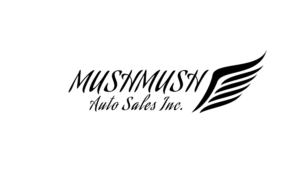 Mush Mush Auto Sales Inc | 160 Transport Rd Unit B, Oakbank, MB R0E 1J0, Canada | Phone: (204) 799-2213
