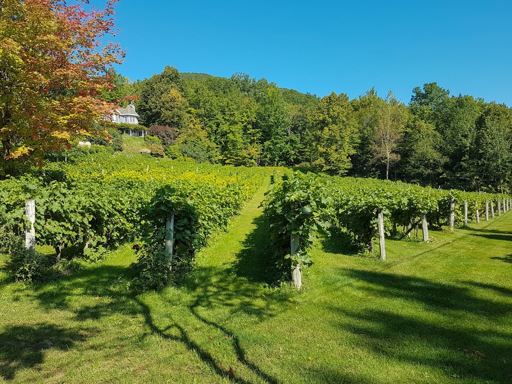 Vignoble Les Murmures | 2750 Rue Noiseux, Saint-Jean-Baptiste, QC J0L 2B0, Canada | Phone: (450) 467-1730