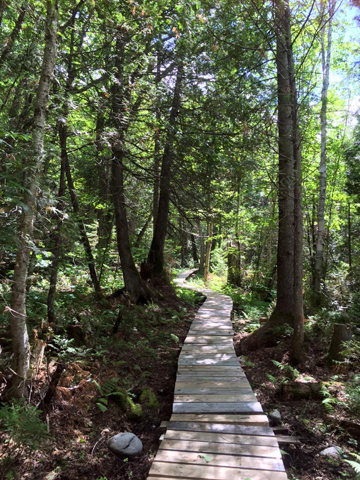 Saint-Maurice Wildlife Reserve | 3774 QC-155, Rivière-Matawin, QC G0X 2C0, Canada | Phone: (819) 646-5687
