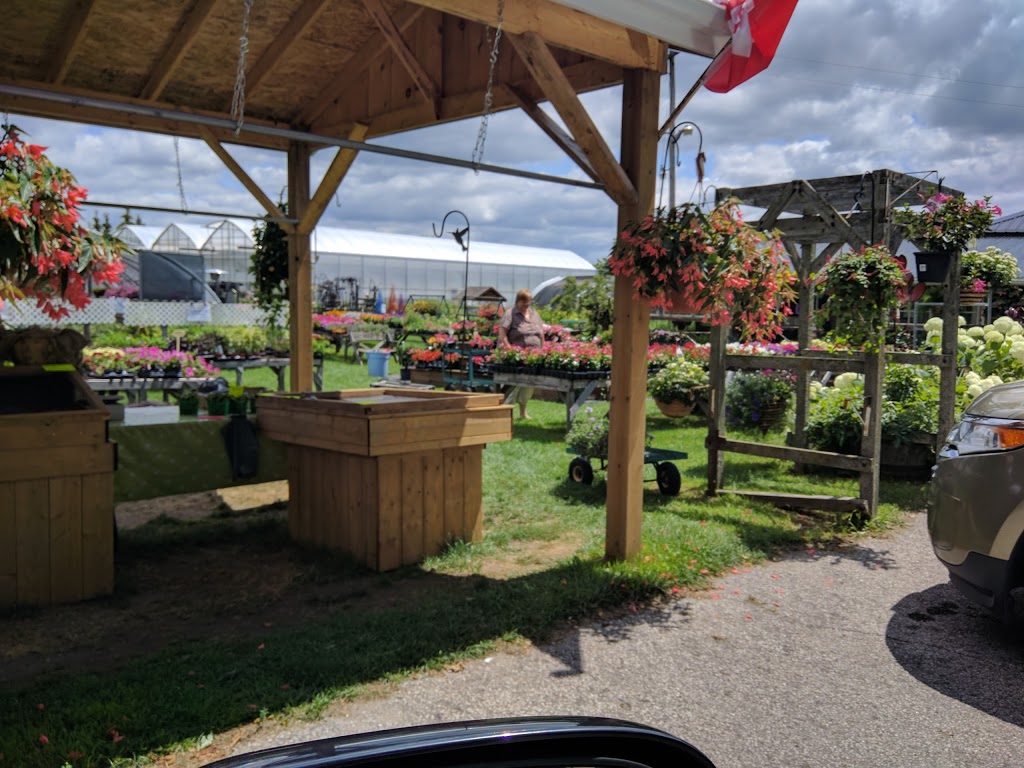 Dick & Nics Floral Pics | 4531 Hamilton Rd, Dorchester, ON N0L 1G6, Canada | Phone: (519) 268-6849