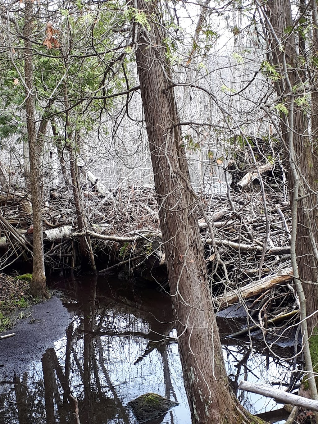 Parc régional StBernard 219 Rang SaintAndré, SaintBernardde