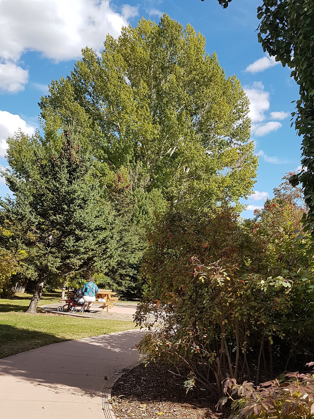 CNIB | 10 11a St NE, Calgary, AB T2E 4Z3, Canada | Phone: (800) 563-2642