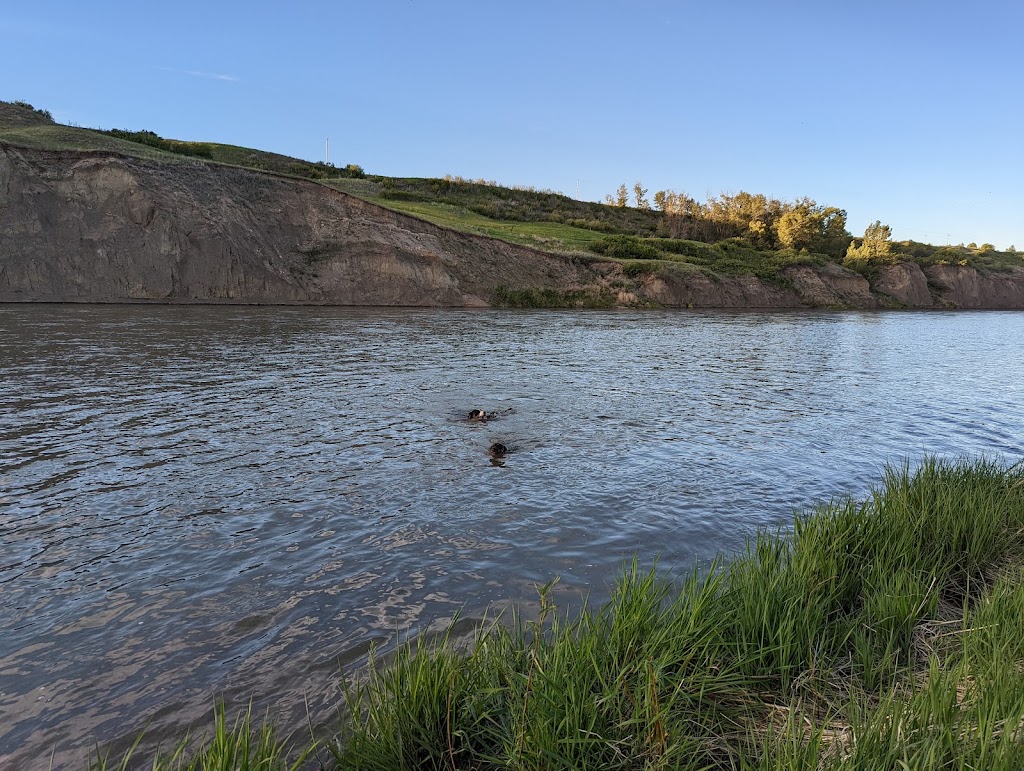 Speargrass Golf Course | 82 Speargrass Blvd, Carseland, AB T0J 0M0, Canada | Phone: (403) 901-1134
