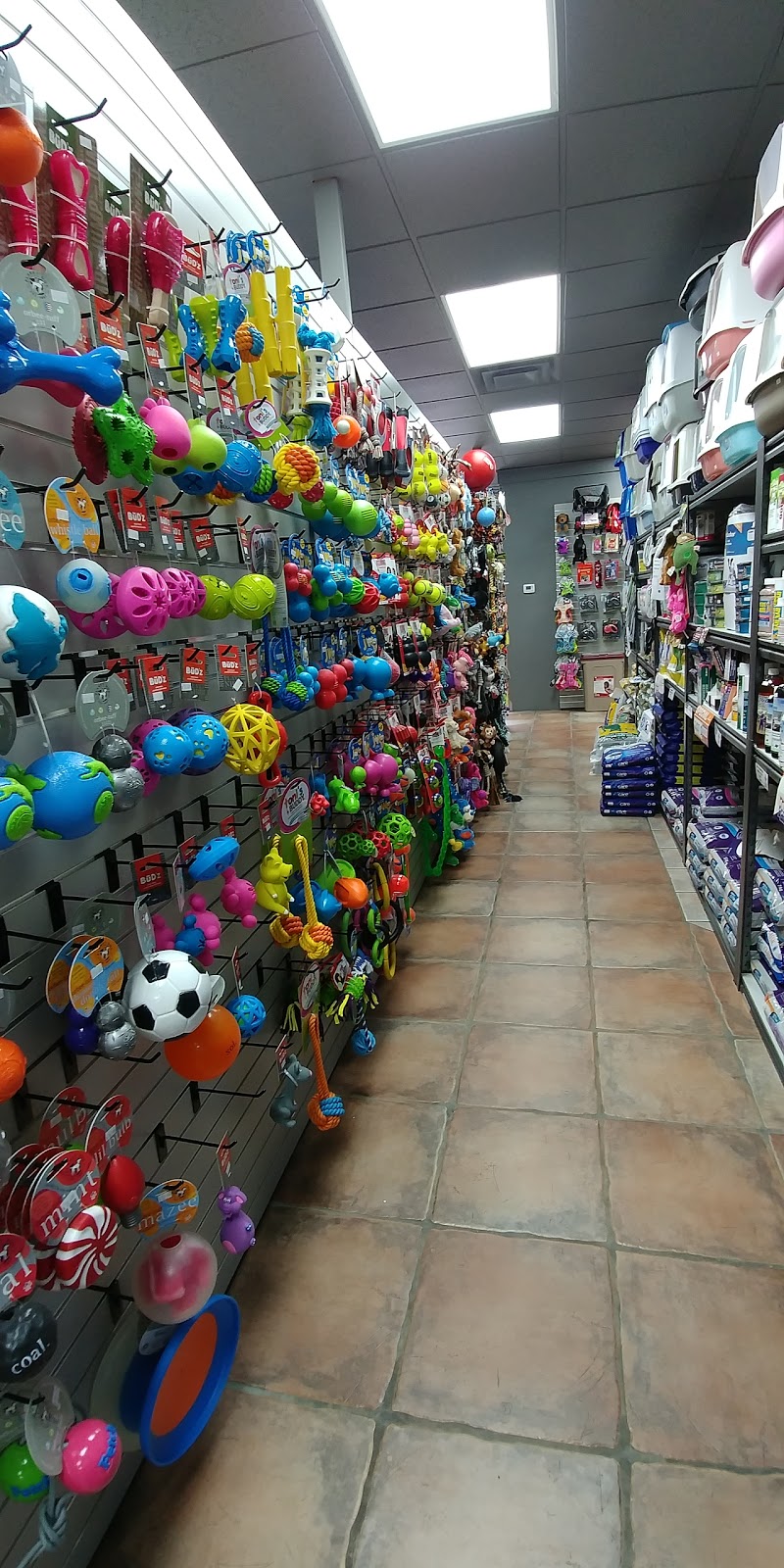Tropicazoo Ste-Julie | 1791 Rue Principale, Sainte-Julie, QC J3E 1W7, Canada | Phone: (450) 922-2557