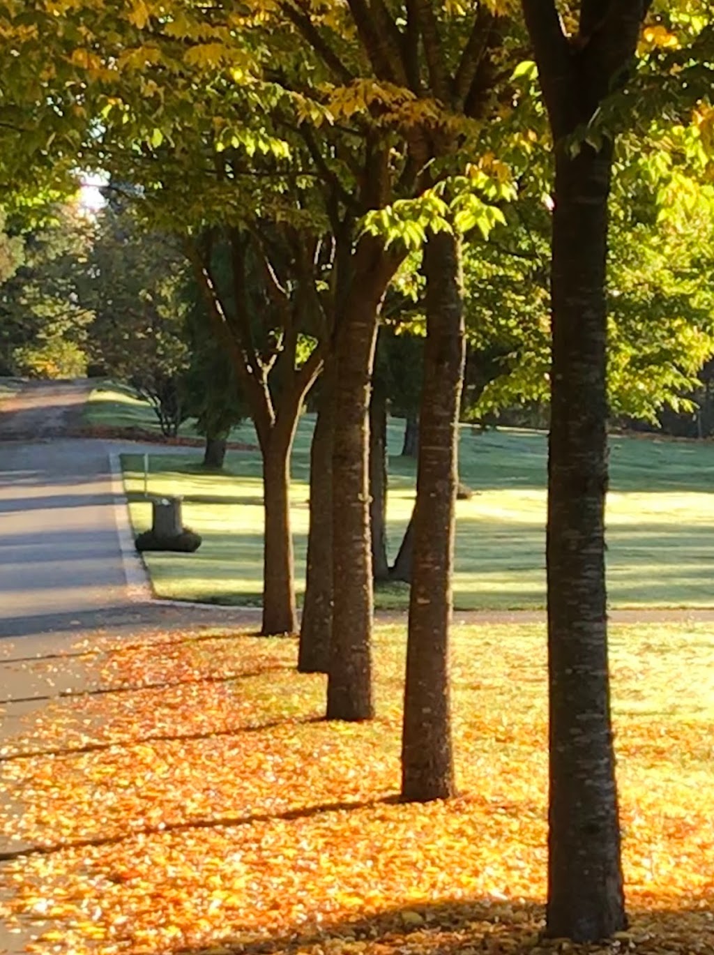 Capilano View Cemetery | West Vancouver | 1490 3rd St, West Vancouver, BC V7S 2Y2, Canada | Phone: (604) 925-7007