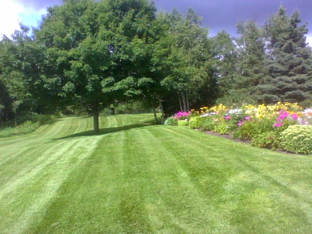 The Outside Guy | 286243 County Rd 10, Orangeville, ON L9W 2Z1, Canada | Phone: (519) 942-6246