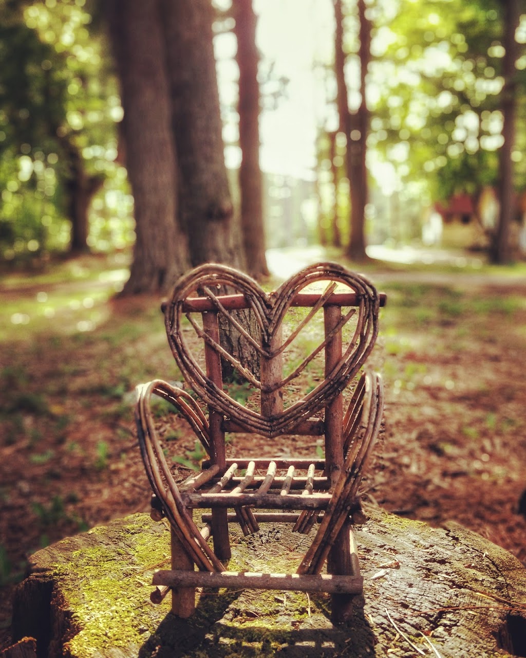 Sparrow Lake Camp | 1437 United Church Camp Line, Severn Bridge, ON P0E 1N0, Canada | Phone: (905) 527-2135