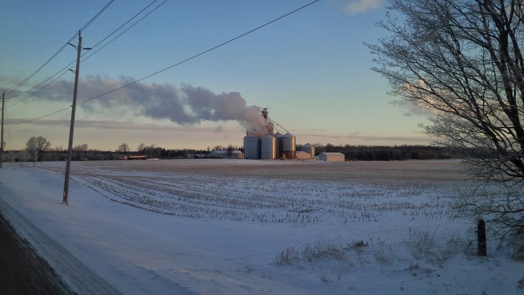 holtz grain ltd | 11 Concession arthur township, Moorefield, ON N0G 2K0, Canada | Phone: (519) 820-7206
