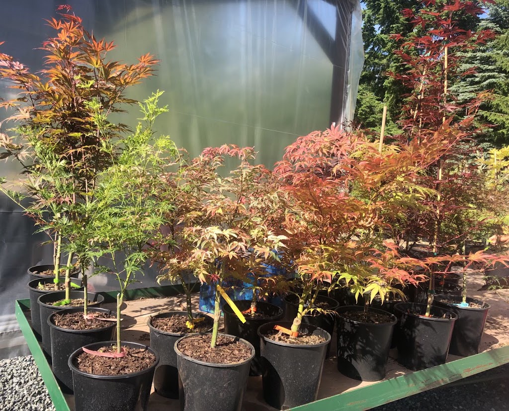 Nikkei Garden Farmers Market | 6688 Southoaks Crescent, Burnaby, BC V5E 4M7, Canada | Phone: (604) 777-7000