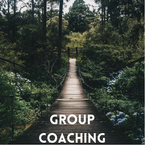 Nurturing Growth Coaching | 46 Sandsprings Crescent, Kitchener, ON N2E 2C7, Canada | Phone: (786) 617-9946