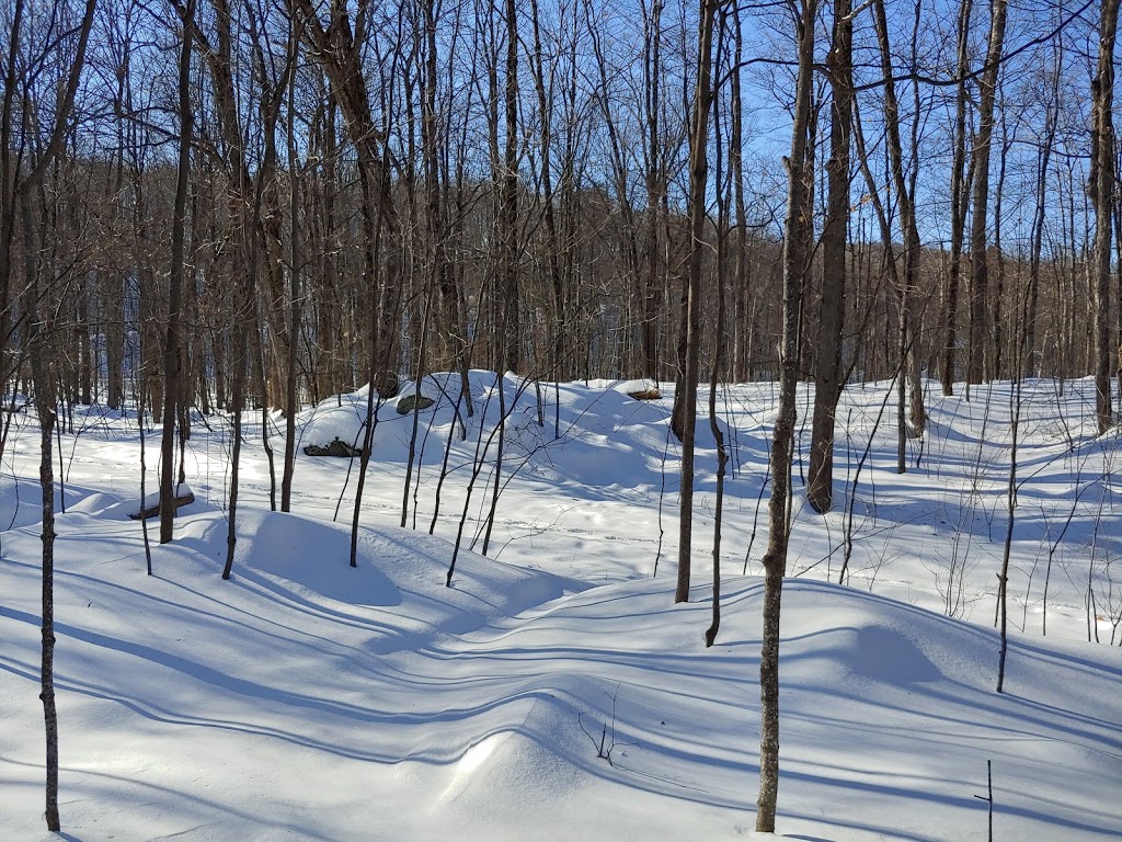 Sugarbush Trail | 33 Chemin Scott, Chelsea, QC J9B 1R5, Canada