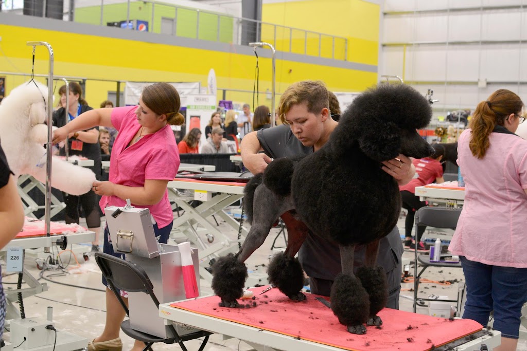 Mystic Pawz Dog Grooming | Midnapore, Calgary, AB T2X 1C7, Canada | Phone: (403) 251-7297