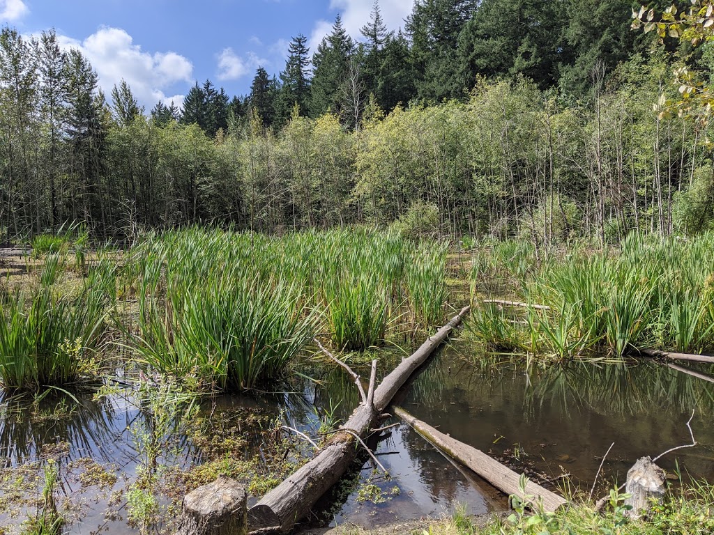 Green Timbers Park | 14600 100 Ave, Surrey, BC V3V 7Z2, Canada | Phone: (604) 501-5050