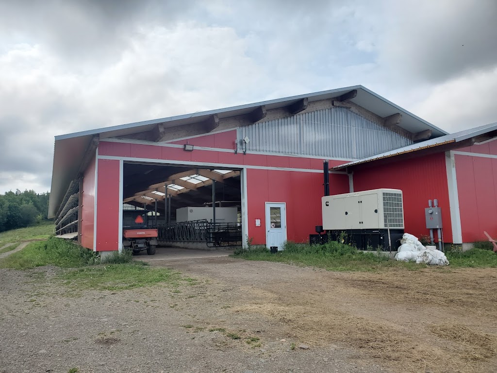 McCrea Farms | Shannon, NB E5T 4G2, Canada | Phone: (506) 434-2246
