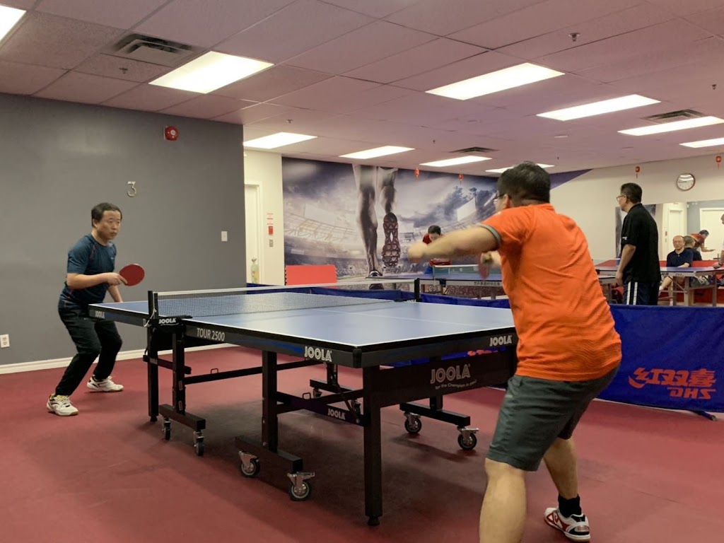 Everyday Badminton and Table Tennis Club | 480 Hood Rd #1, Markham, ON L3R 9Z3, Canada | Phone: (905) 604-6698