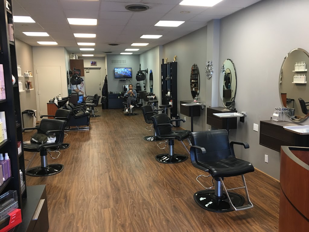 Twin Scissors Hair Design | 4976 Dundas St W, Etobicoke, ON M9A 1B7, Canada | Phone: (416) 653-6662