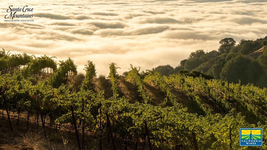 California Wine Institute | 63a Cambridge Ave, Toronto, ON M4K 2L2, Canada | Phone: (416) 997-7468