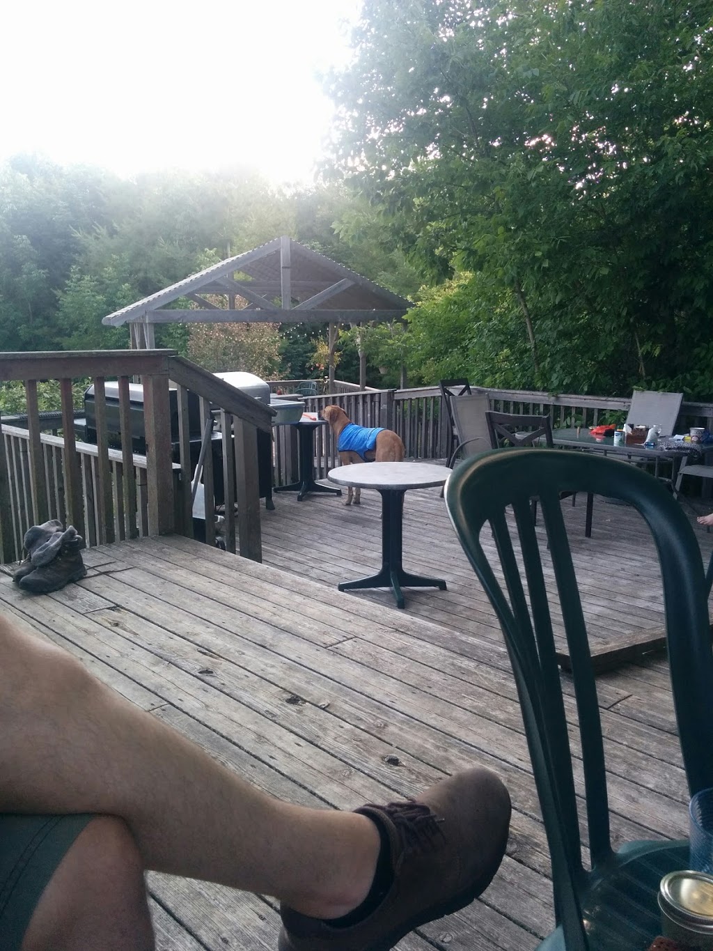 Breathe Easy Cottage | 214838 Baseline, West Grey, ON N0G, Canada | Phone: (519) 369-2783