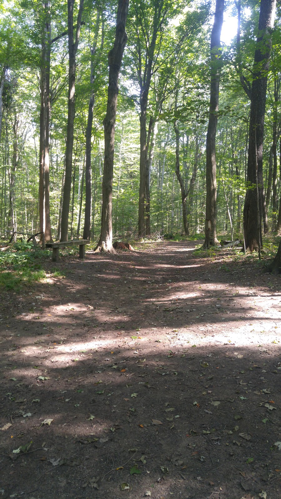 Jaffa Environmental Education Centre, TVDSB | 48346 John Wise Line, Aylmer, ON N5H 2R4, Canada