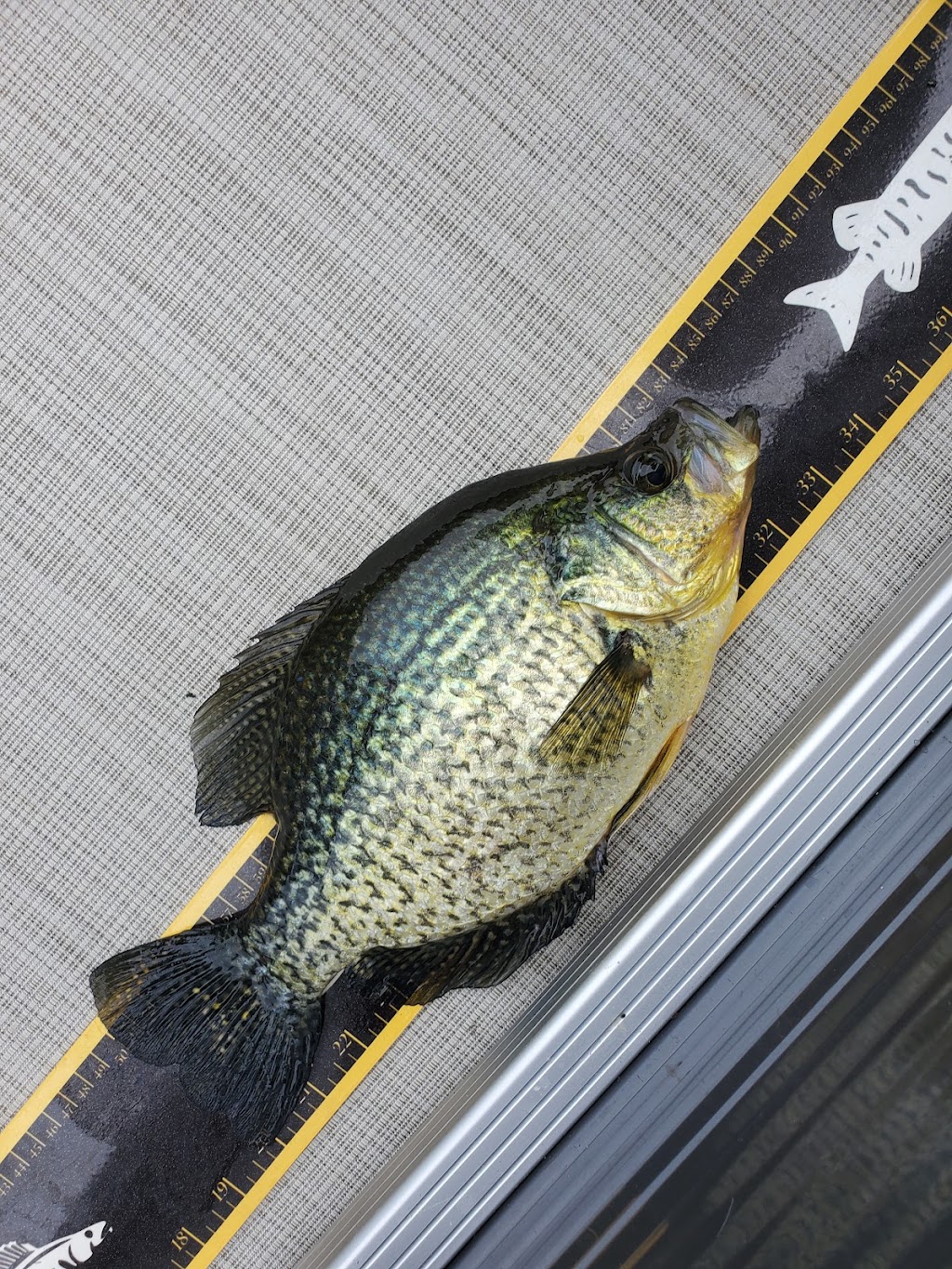 OutCast Fishing & Convenience | 18 John St, Huntsville, ON P1H 1H2, Canada | Phone: (705) 784-9920