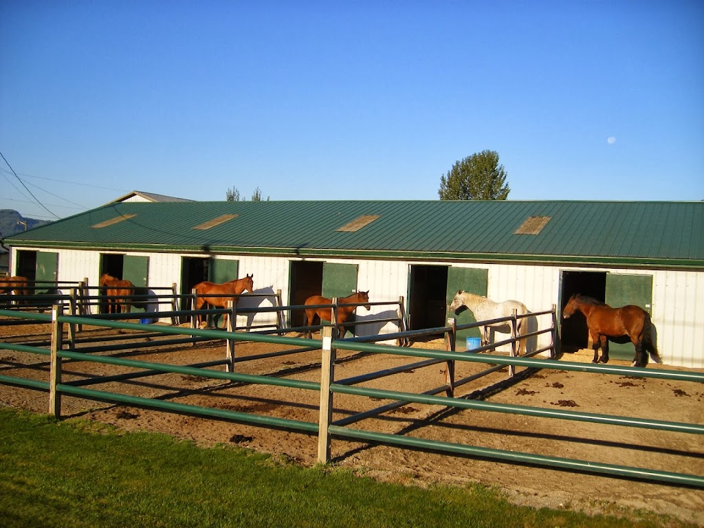 Discovery Equine at Cheam Stables | 9345 Ford Rd, Rosedale, BC V0X 1X2, Canada | Phone: (604) 316-0803