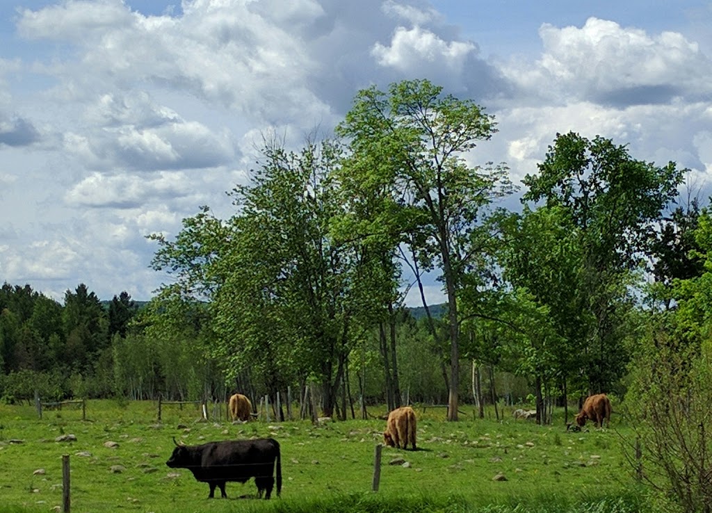Ferme Au Pied Levé | 1107 Chemin Fitch Bay, Magog, QC J1X 3W2, Canada | Phone: (819) 843-6143